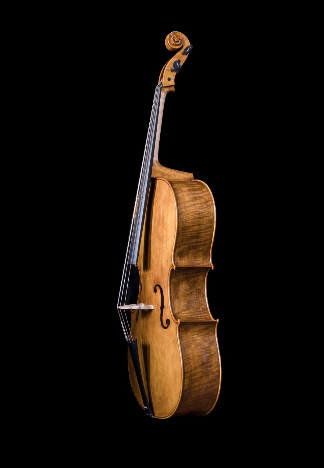 baroque stringed instrument