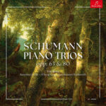 Endlessly Satisfying Schumann from Trio Ilona